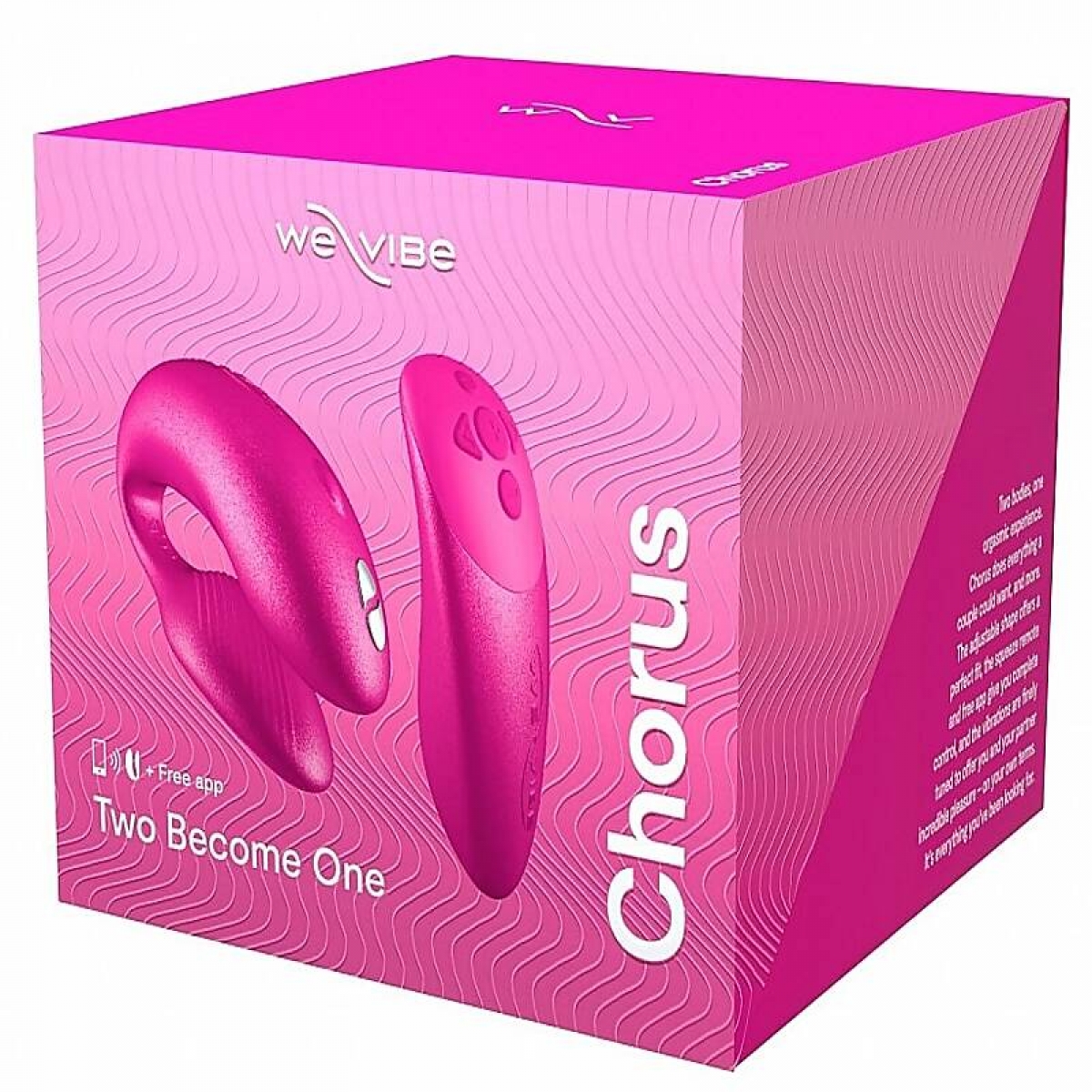 Vib657/ We Vibe Chorus